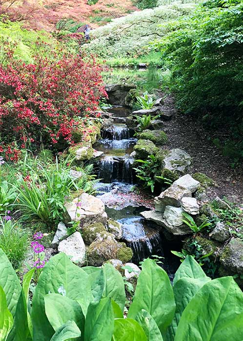 Exbury Gardens Watergardens